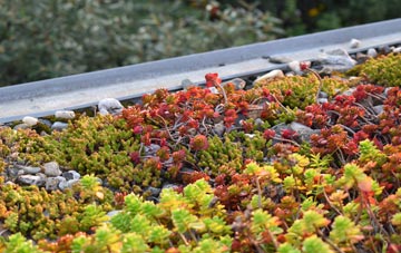 the cost of Cotmaton green roof installation